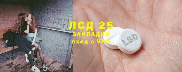ГАЛЛЮЦИНОГЕННЫЕ ГРИБЫ Белокуриха