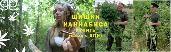 ГАЛЛЮЦИНОГЕННЫЕ ГРИБЫ Белокуриха