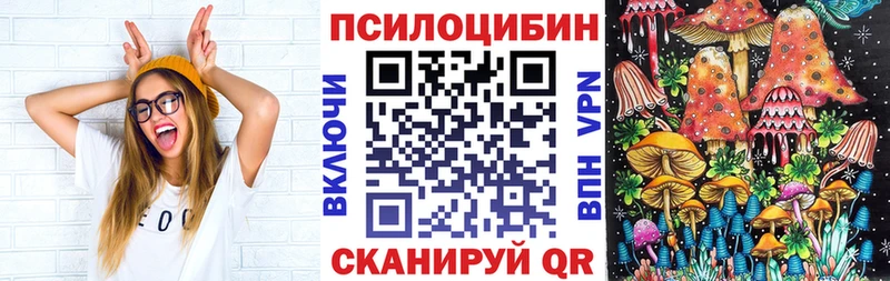 как найти наркотики  Верея  Галлюциногенные грибы мицелий 